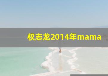 权志龙2014年mama