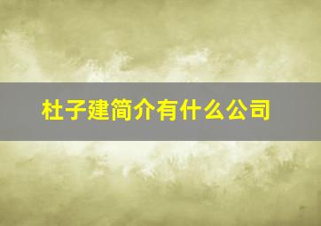 杜子建简介有什么公司