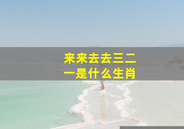 来来去去三二一是什么生肖