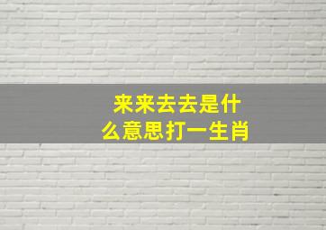 来来去去是什么意思打一生肖