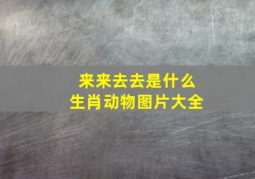 来来去去是什么生肖动物图片大全