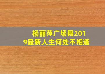 杨丽萍广场舞2019最新人生何处不相逢