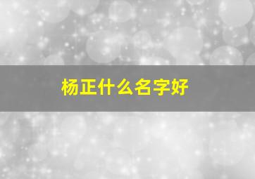 杨正什么名字好