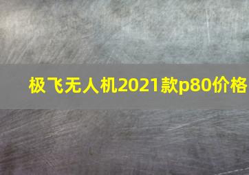 极飞无人机2021款p80价格