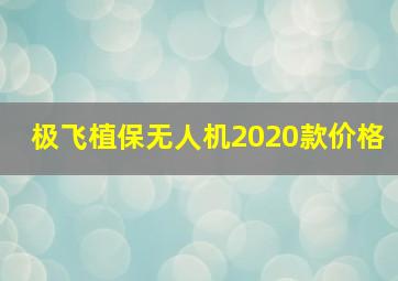 极飞植保无人机2020款价格