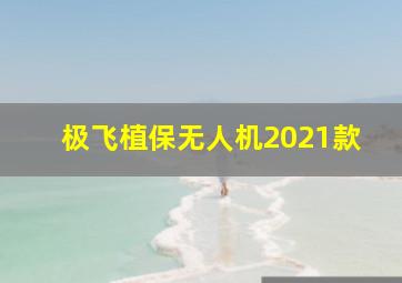 极飞植保无人机2021款