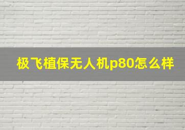 极飞植保无人机p80怎么样