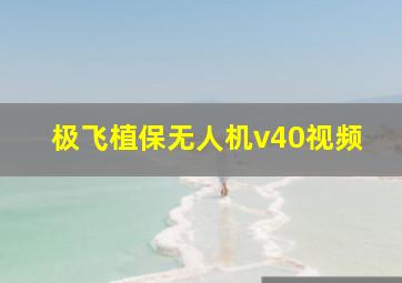 极飞植保无人机v40视频