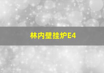 林内壁挂炉E4