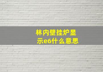 林内壁挂炉显示e6什么意思