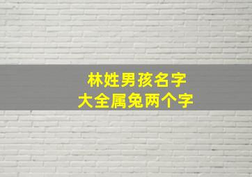 林姓男孩名字大全属兔两个字