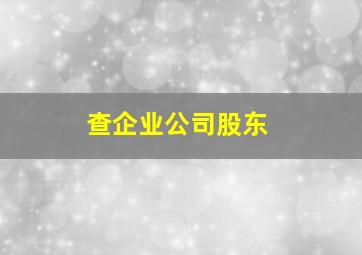 查企业公司股东