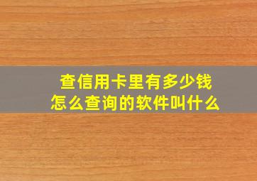 查信用卡里有多少钱怎么查询的软件叫什么