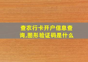 查农行卡开户信息查询,图形验证码是什么