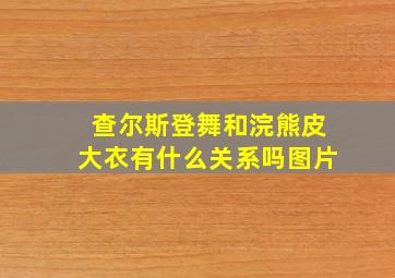 查尔斯登舞和浣熊皮大衣有什么关系吗图片