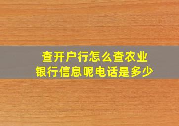 查开户行怎么查农业银行信息呢电话是多少