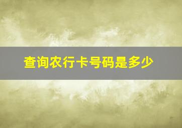 查询农行卡号码是多少