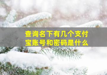 查询名下有几个支付宝账号和密码是什么