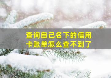 查询自己名下的信用卡账单怎么查不到了