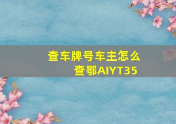 查车牌号车主怎么查鄂AIYT35