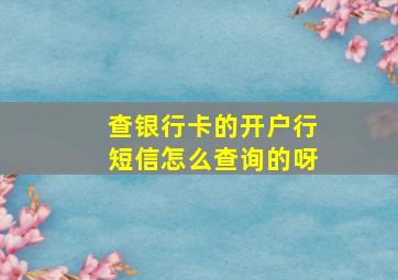 查银行卡的开户行短信怎么查询的呀