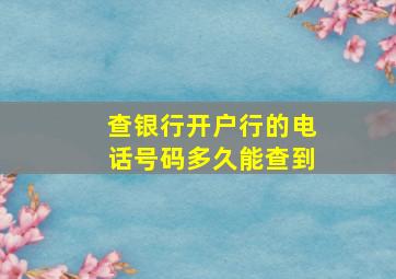 查银行开户行的电话号码多久能查到