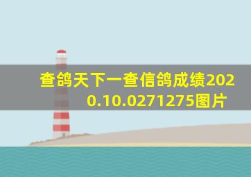 查鸽天下一查信鸽成绩2020.10.0271275图片