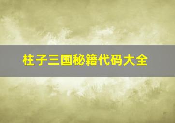 柱子三国秘籍代码大全