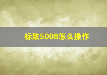 标致5008怎么操作