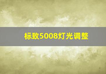 标致5008灯光调整