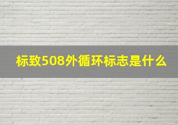 标致508外循环标志是什么