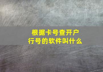 根据卡号查开户行号的软件叫什么