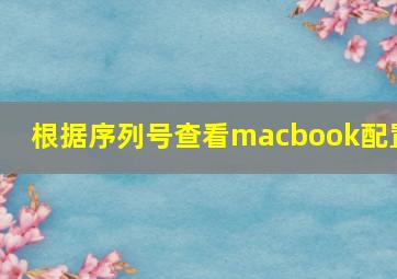 根据序列号查看macbook配置