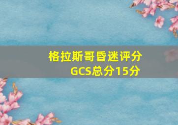 格拉斯哥昏迷评分GCS总分15分