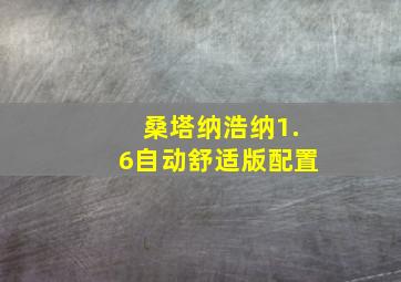 桑塔纳浩纳1.6自动舒适版配置