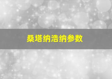 桑塔纳浩纳参数