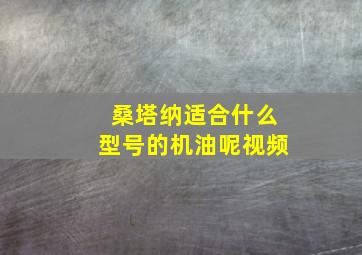 桑塔纳适合什么型号的机油呢视频