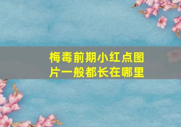 梅毒前期小红点图片一般都长在哪里