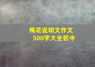 梅花说明文作文500字大全初中