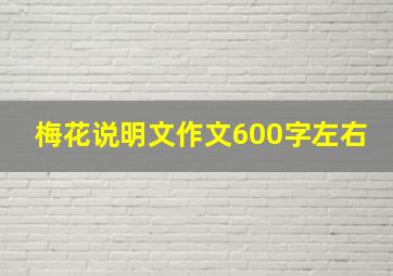 梅花说明文作文600字左右