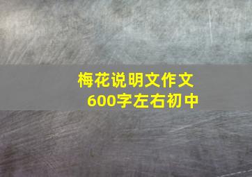 梅花说明文作文600字左右初中