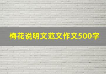 梅花说明文范文作文500字