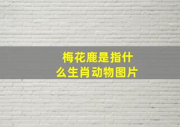 梅花鹿是指什么生肖动物图片