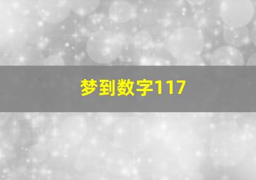 梦到数字117