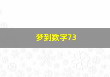 梦到数字73