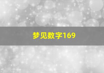 梦见数字169