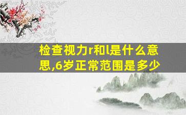 检查视力r和l是什么意思,6岁正常范围是多少