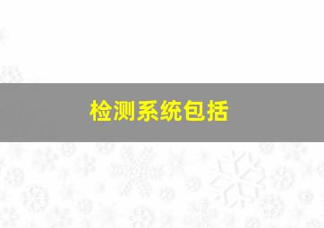 检测系统包括