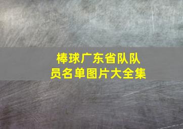 棒球广东省队队员名单图片大全集