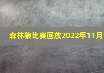 森林狼比赛回放2022年11月